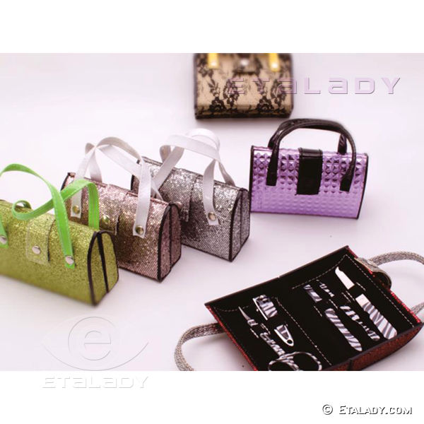Handbag Case Manicure Kit